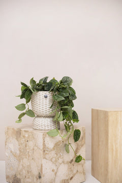 Basket Twist - small - Champagne