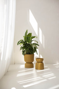 Basket Twist - medium - ochre yellow