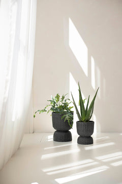 Basket Twist - small - Dark grey