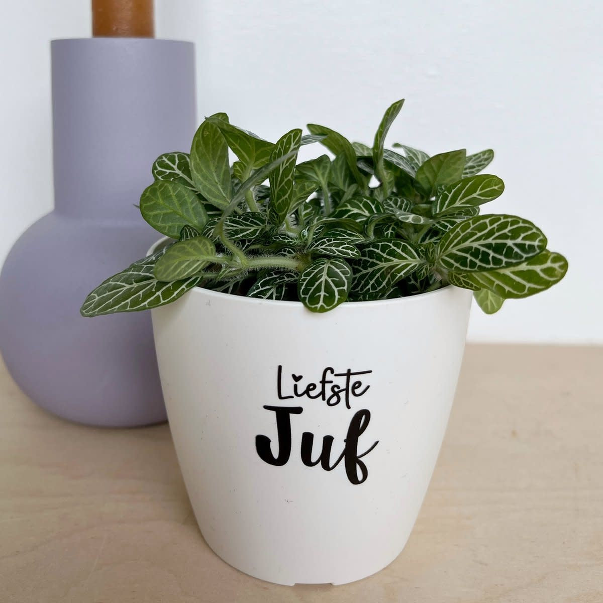Bloempotje 'Liefste juf' - wit (zonder plantje)