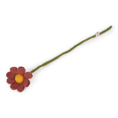 Anemone Rouge - 30 cm