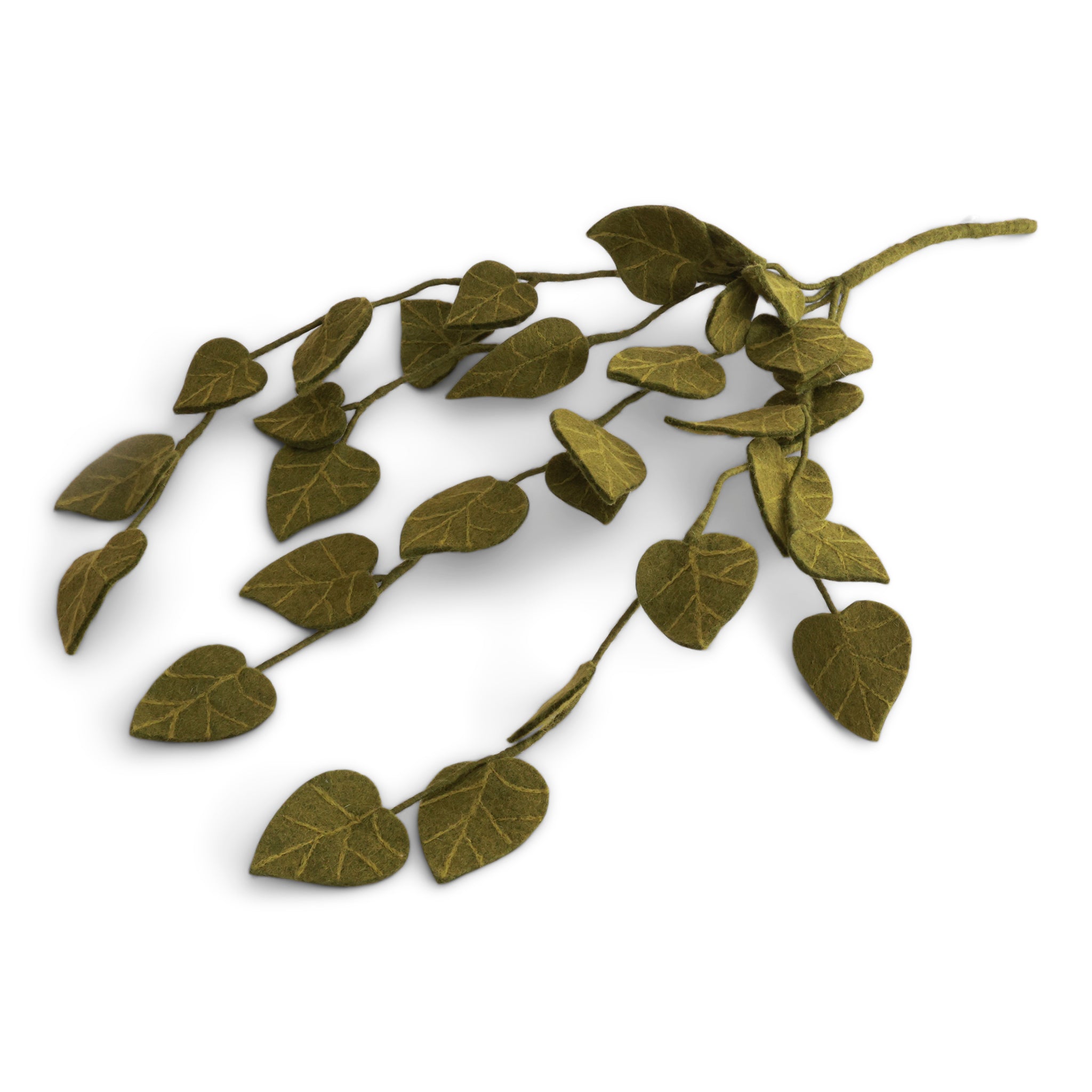 Succulent branches - green