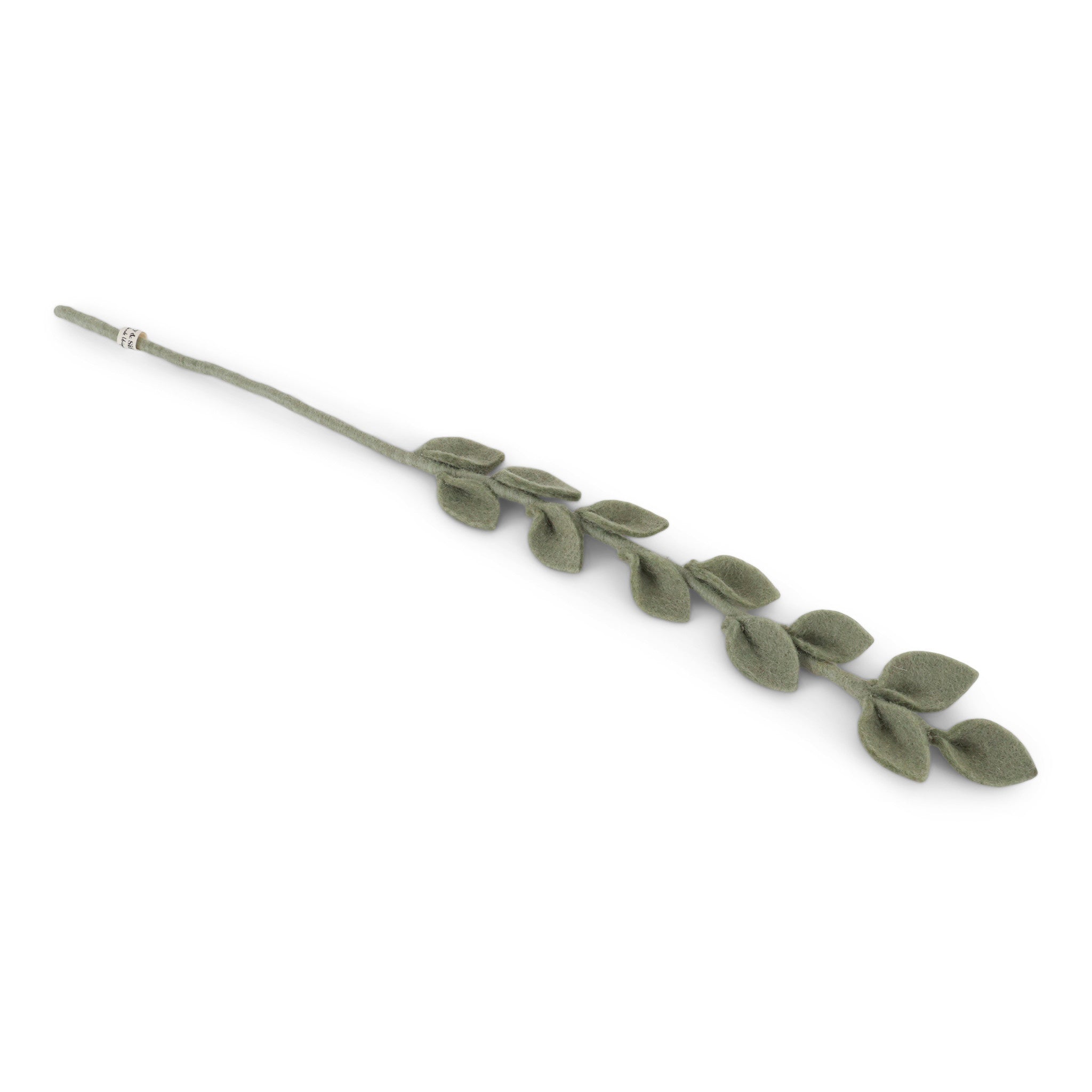Eucalyptus tak - 55 cm