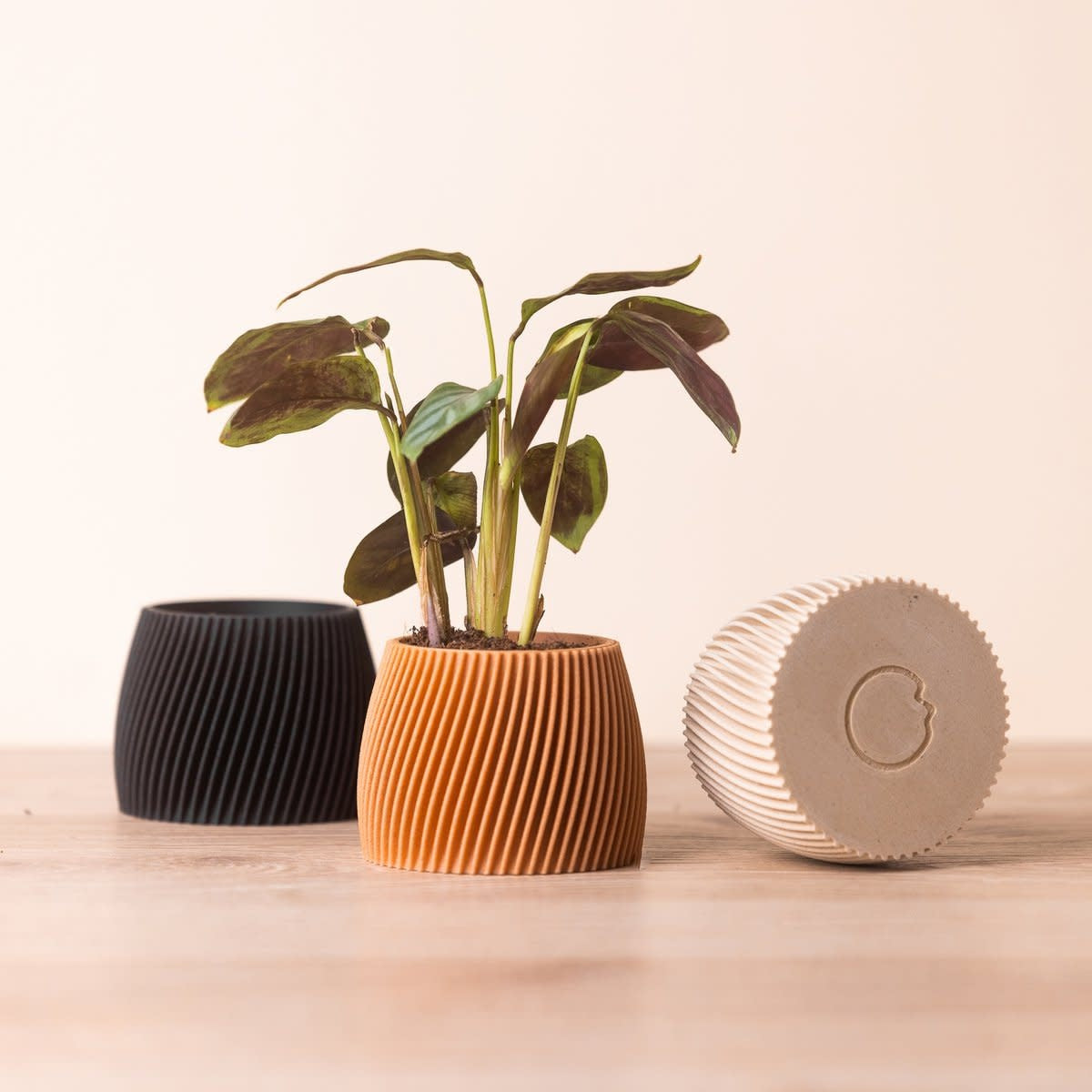 Kleine bloempot in 3D print - hout en maïszetmeel - ceder