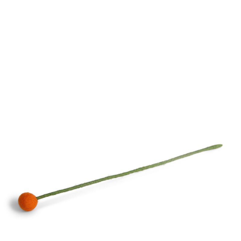Vilten bolletjesbloem - Orange