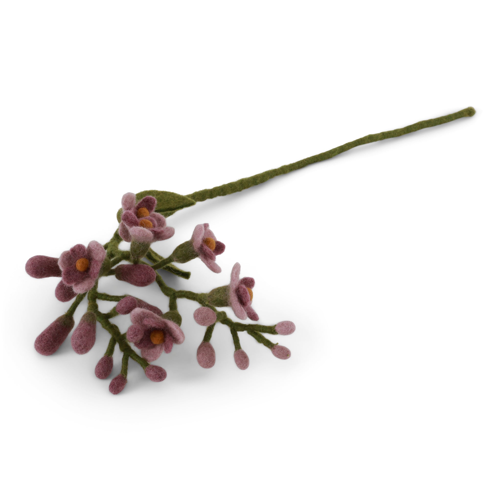 Wisteria purple (blauweregen)
