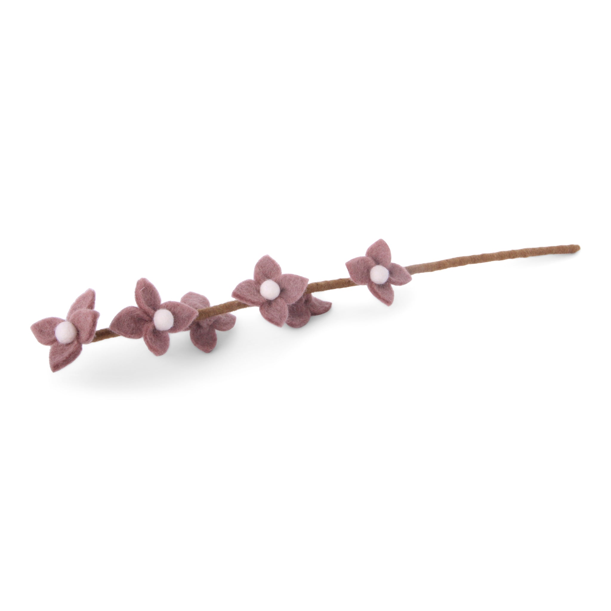 Lavender flowers on stalk