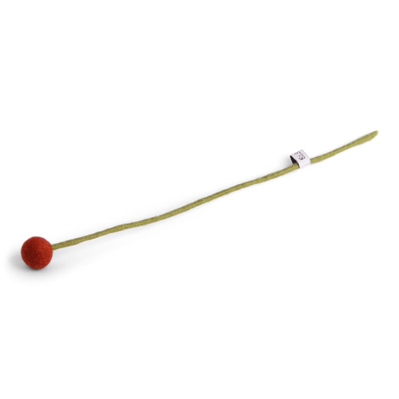 Vilten bolletjesbloem - Brown Orange