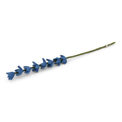 Lupine in felblauw - 52cm