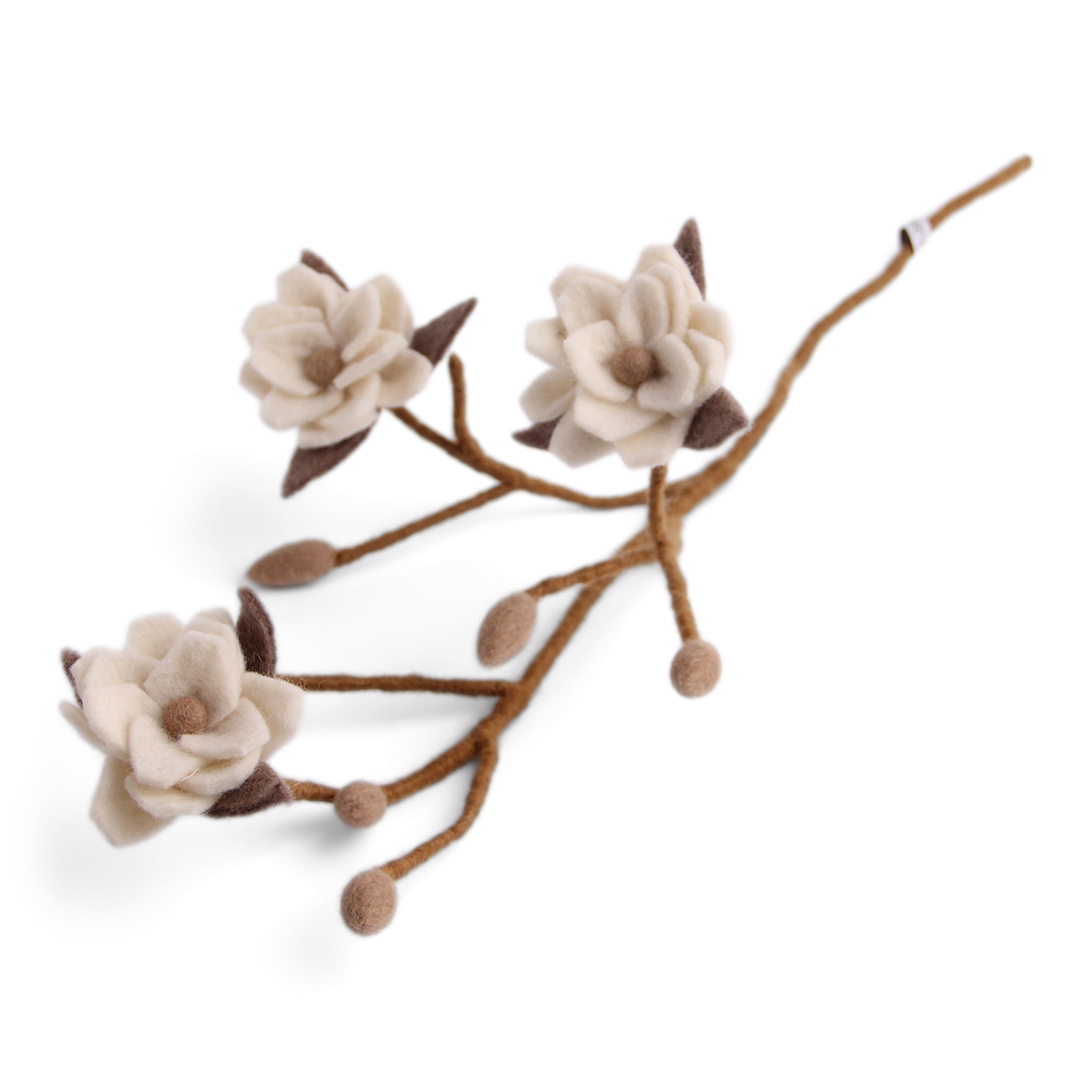 Magnolia branch with white flowers