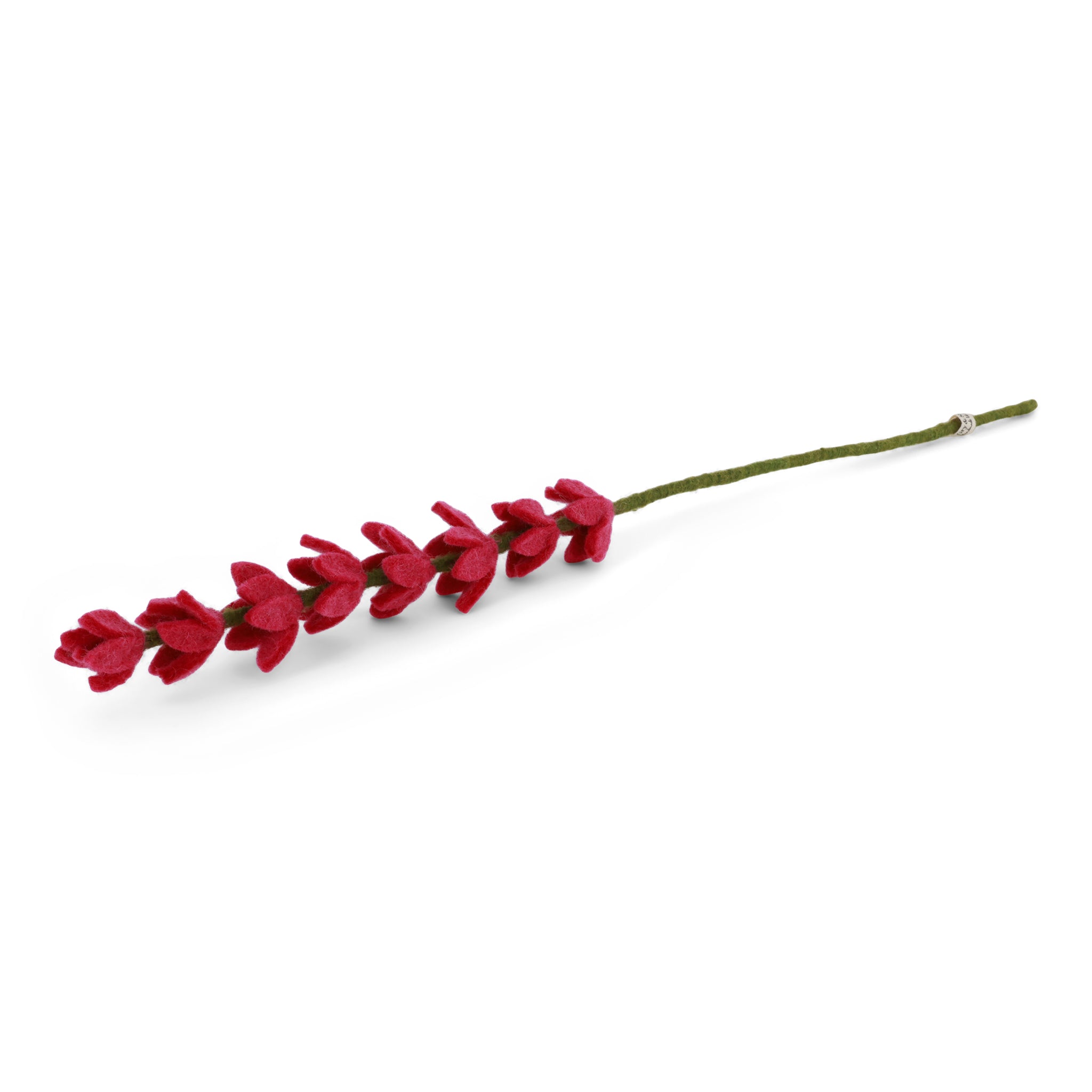 Lupine in cerise