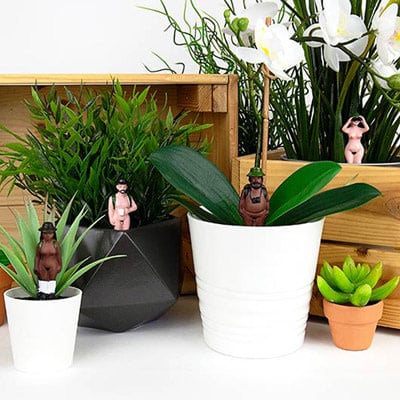 Naked Ramblers Plant - Markers