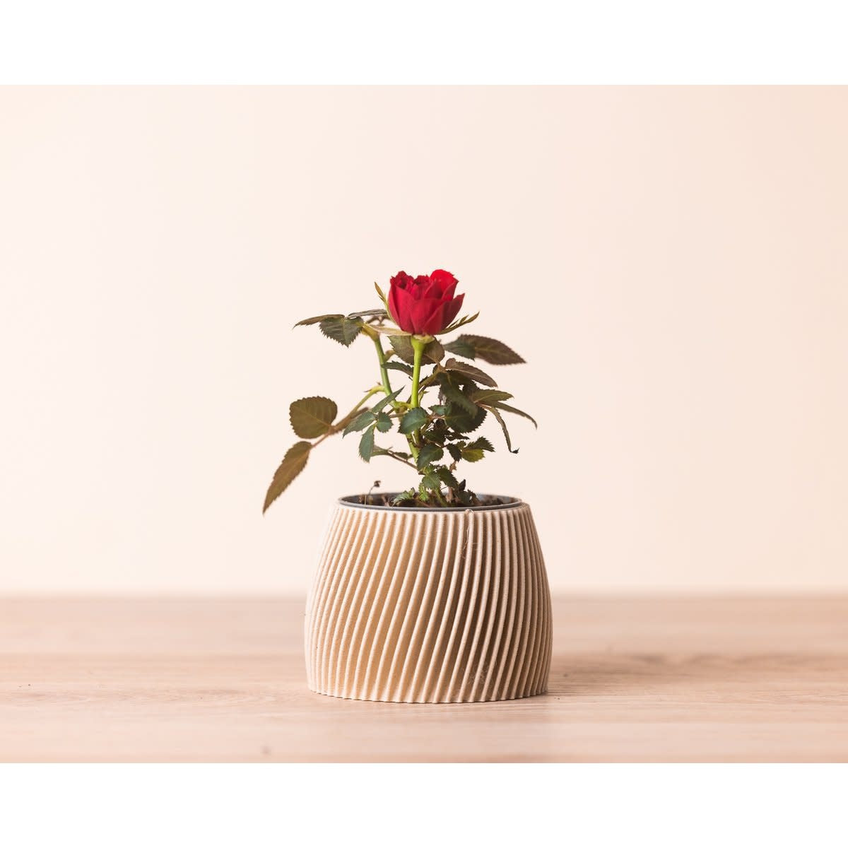 Kleine bloempot in 3D print - hout en maïszetmeel - beige