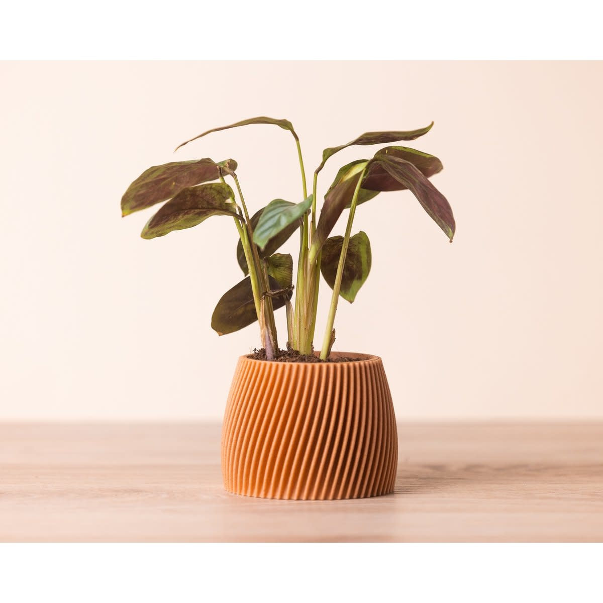 Kleine bloempot in 3D print - hout en maïszetmeel - ceder