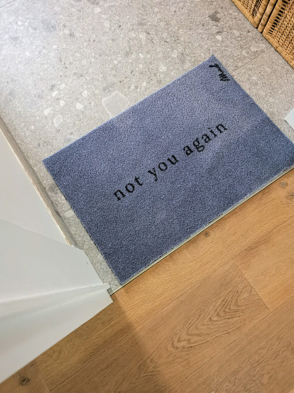 Mat - 'Alex' - Scraper - 50 x 75 cm 'Not you again'