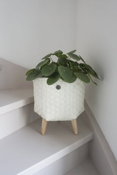 Dimensional Basket ecru white