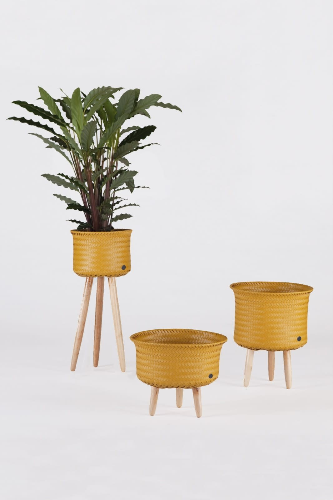 Basket Up - Low  - mustard