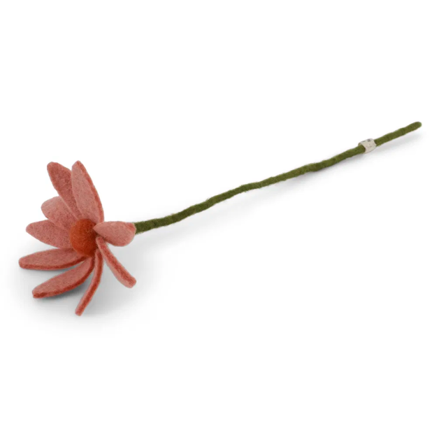 Cosmos Flower - Light Peach