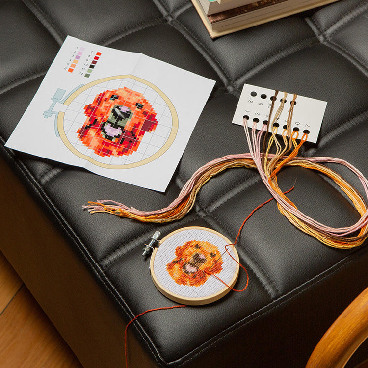 Mini cross-stitch naai-setje - Dog