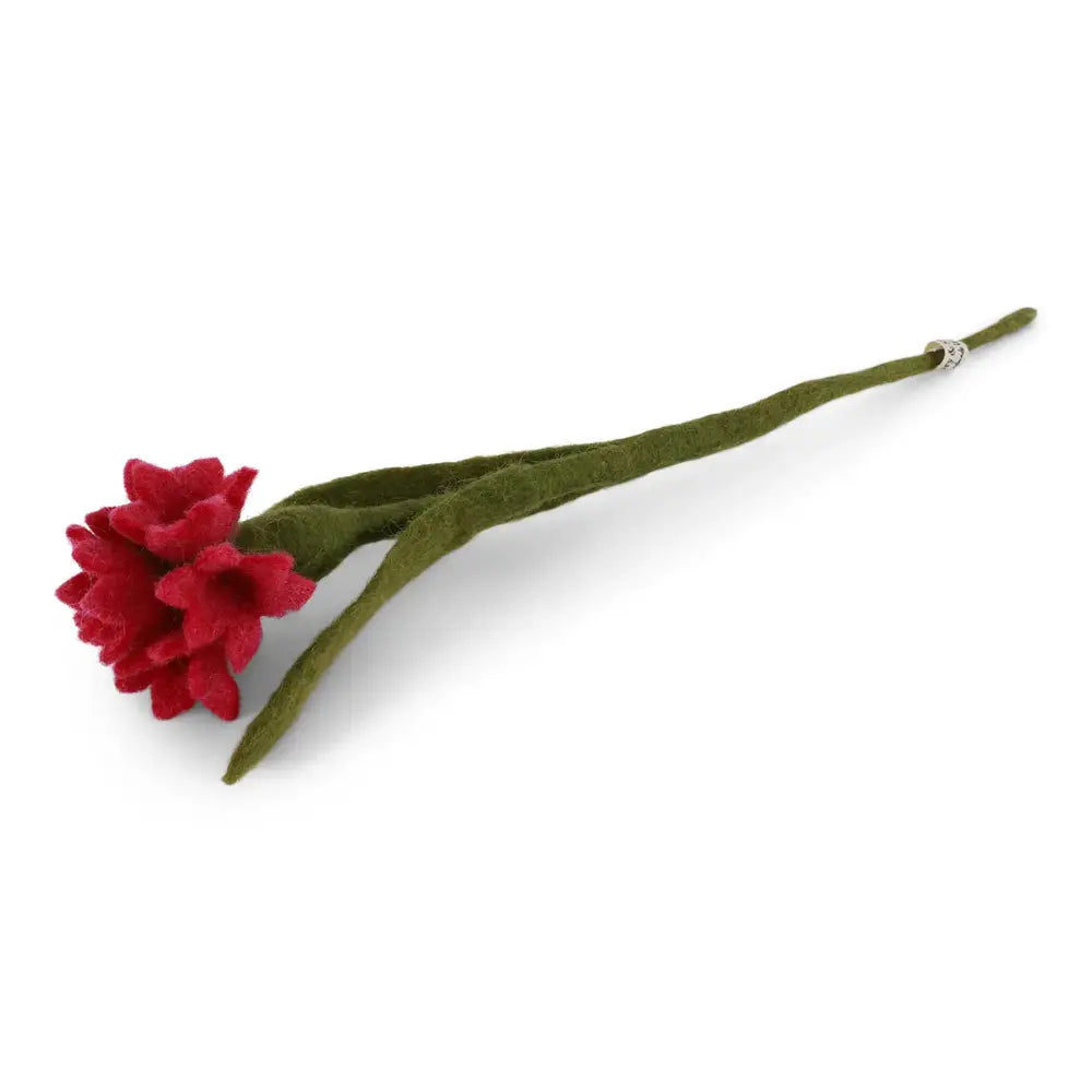 Cornflower - cerise