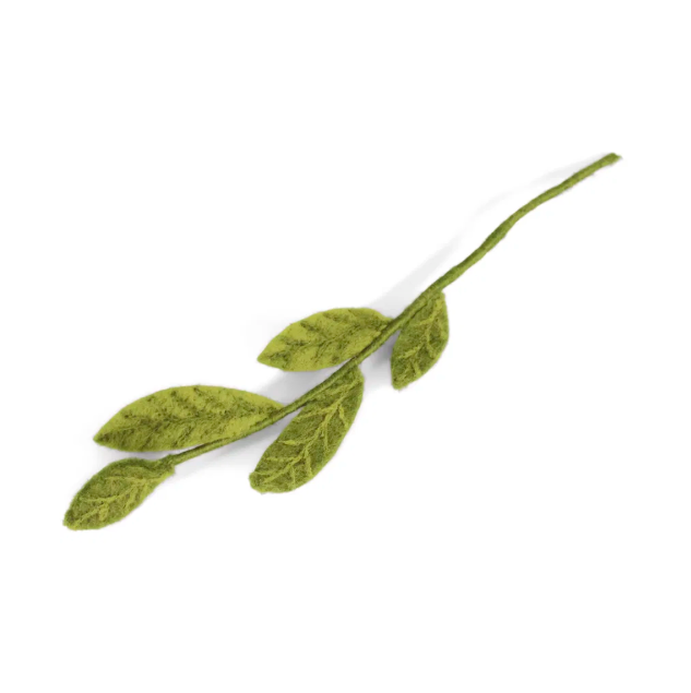 Branch with mix green leaves
