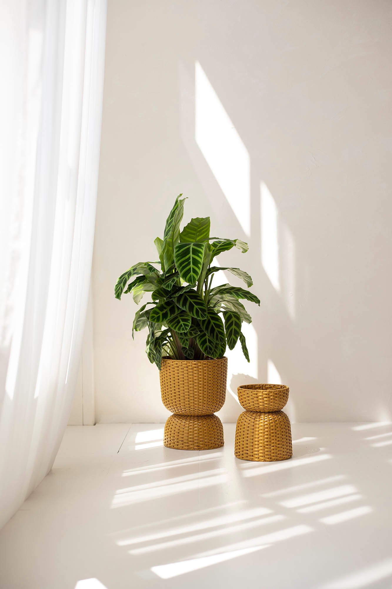 Basket Twist  - small -  ochre yellow