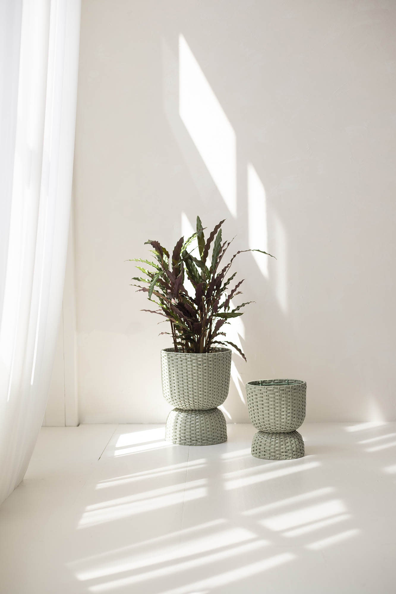 Basket Twist  - medium -  Matcha green