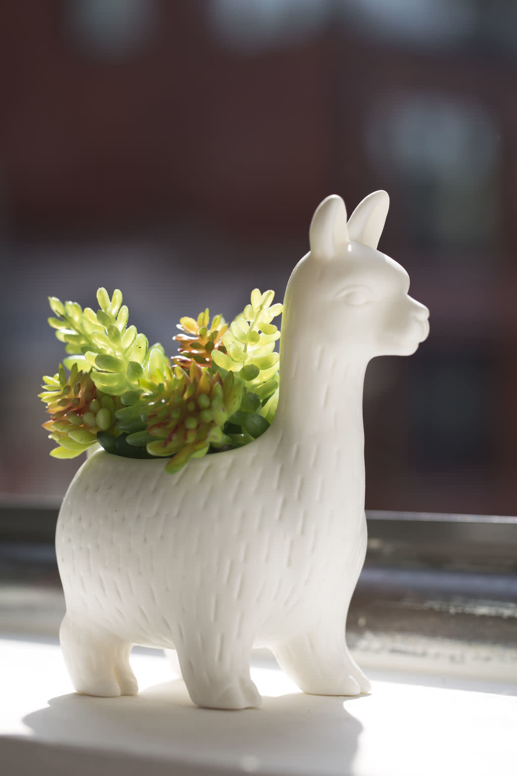 Lloyd the Llama planter