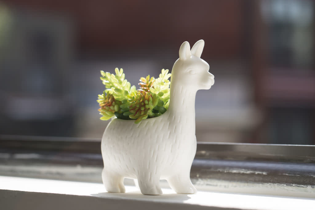 Lloyd the Llama planter