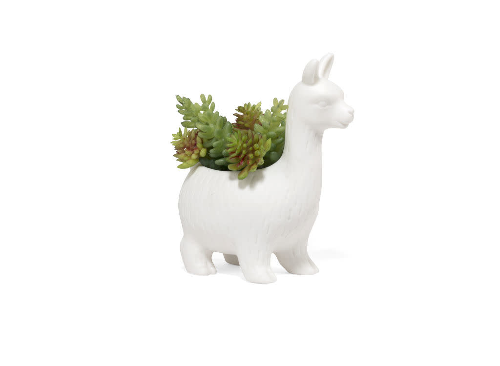 Lloyd the Llama planter
