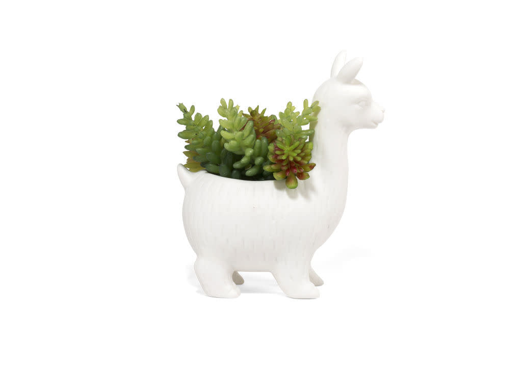 Lloyd the Llama planter