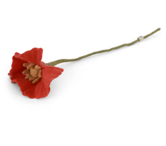 Poppy Flower - Coral