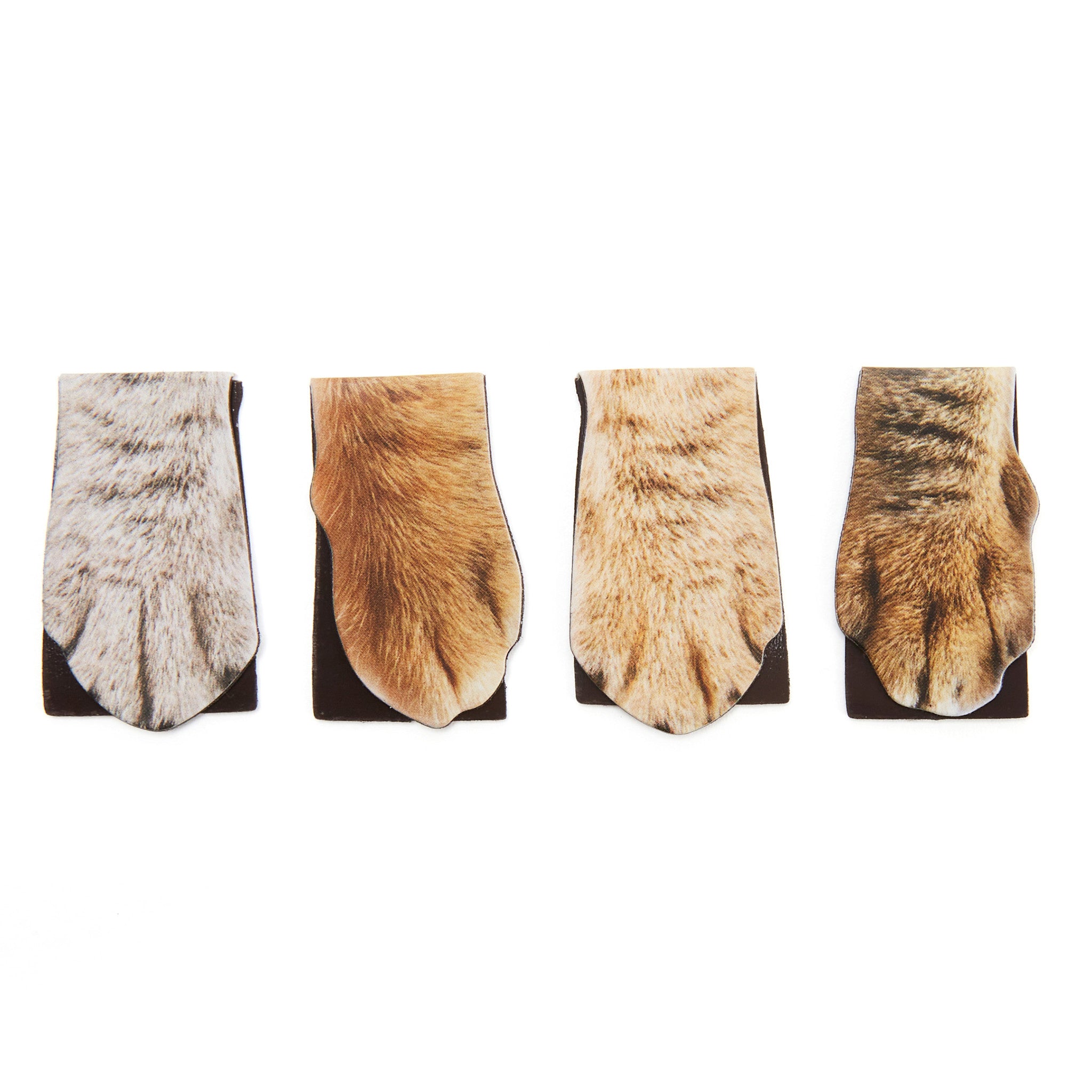 Set van 4 magneetjes 'Cat paw'
