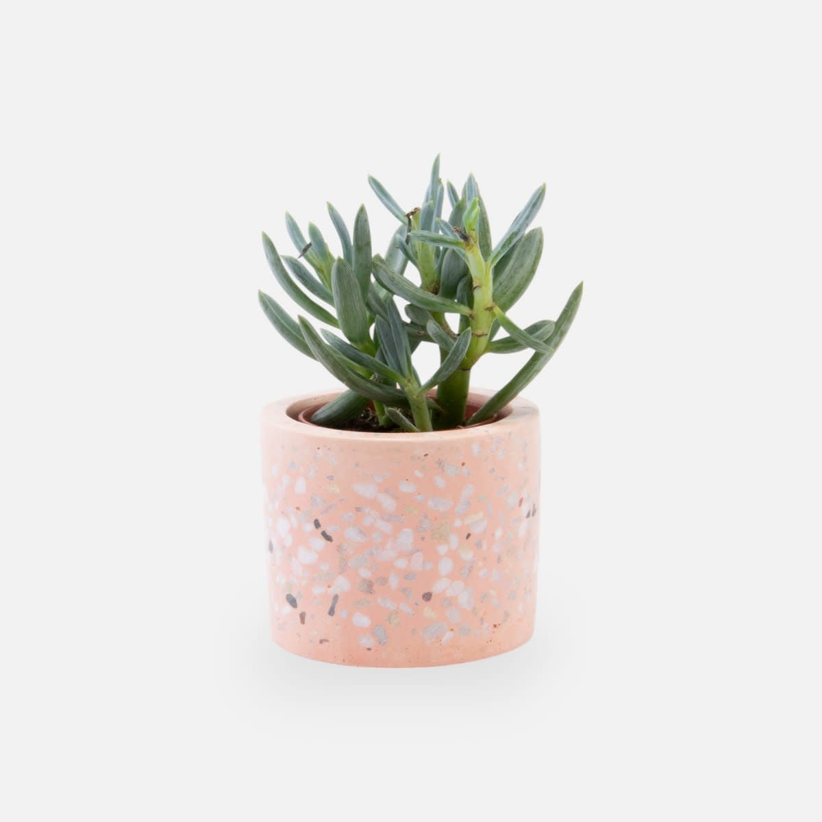 Terrazzo bloempotje roze (zonder plantje)