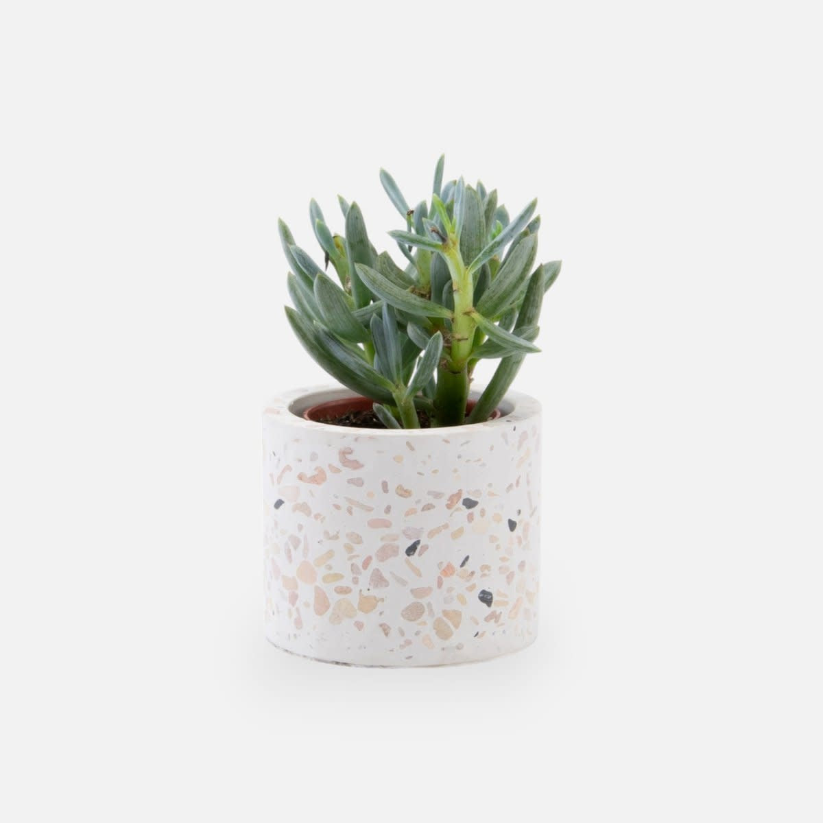 Terrazzo bloempotje wit (zonder plantje)