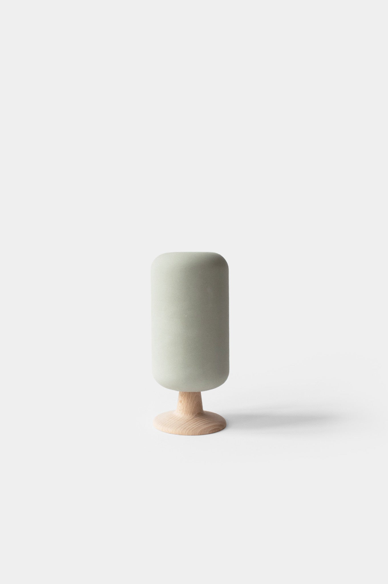 Design Populier boompje  16 cm