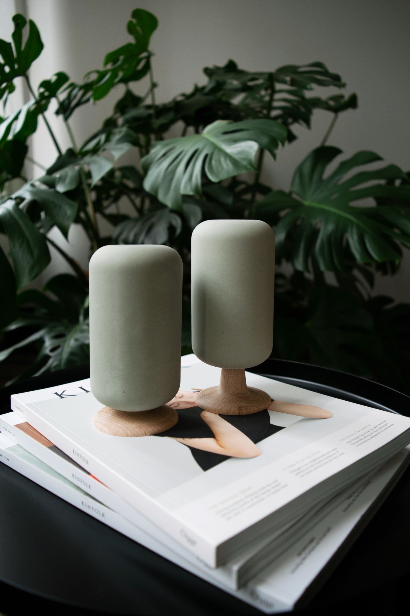 Design Populier boompje  16 cm