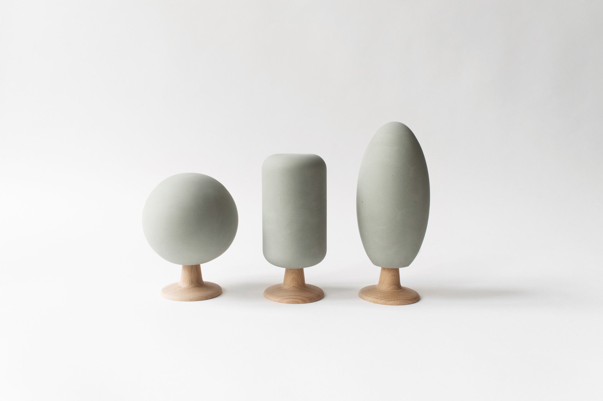 Design Populier boompje  16 cm
